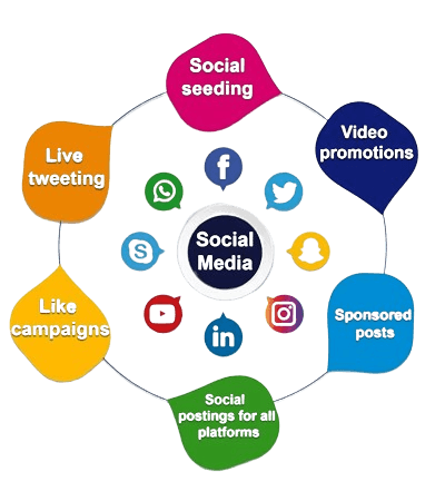Sociale Media Marketing 🔶 Nadine WebDesign 🔶 Waddinxveen