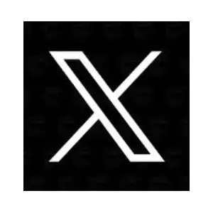 X Logo • Nadine Webdesign Waddinxveen